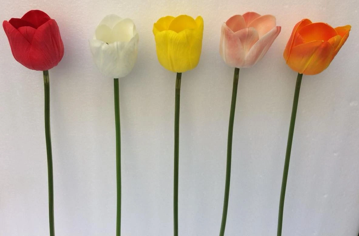 Tulip PU Big